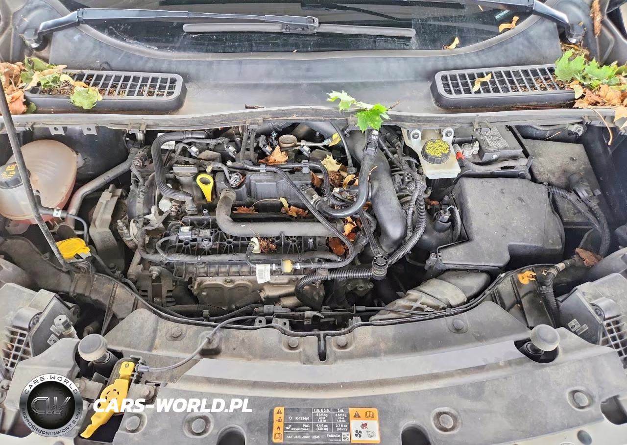 2019 Ford Escape Sel VIN:1FMCU9HD8KUB38907 - 12