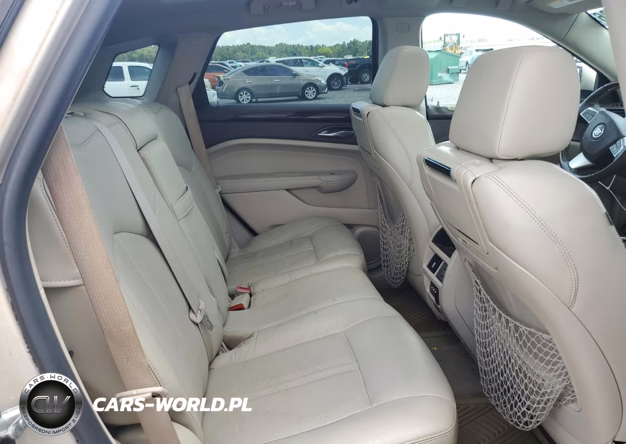 2010 Cadillac Srx Luxury Collection VIN:3GYFNAEY4AS522084 - 10