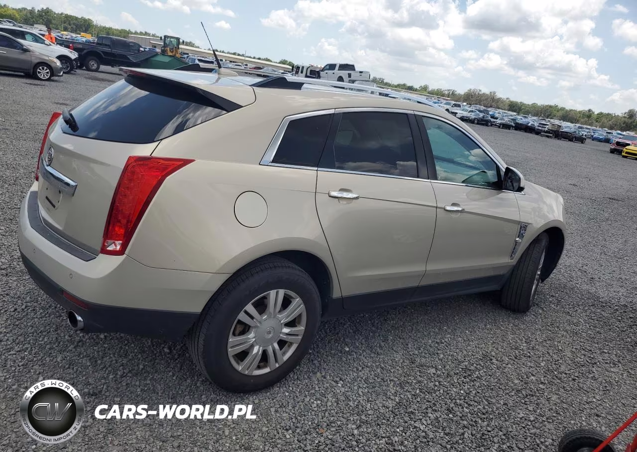 2010 Cadillac Srx Luxury Collection VIN:3GYFNAEY4AS522084 - 3