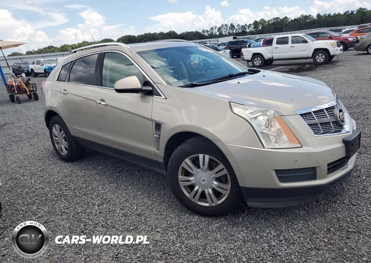 2010 Cadillac Srx Luxury Collection VIN:3GYFNAEY4AS522084 - 4