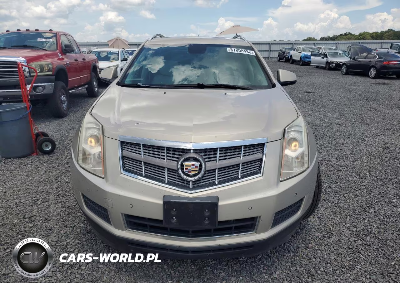 2010 Cadillac Srx Luxury Collection VIN:3GYFNAEY4AS522084 - 5