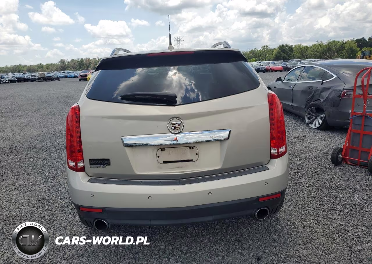 2010 Cadillac Srx Luxury Collection VIN:3GYFNAEY4AS522084 - 6