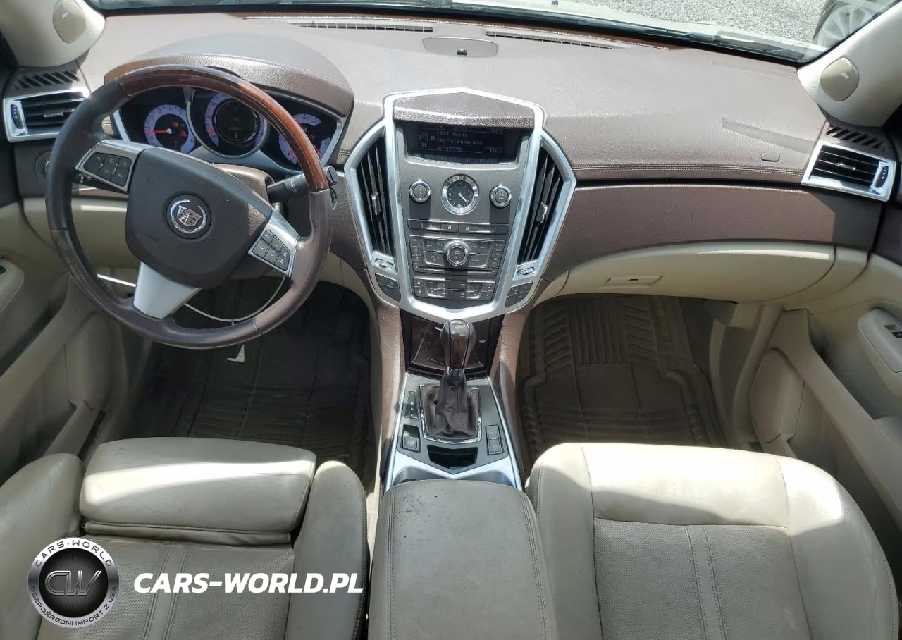 2010 Cadillac Srx Luxury Collection VIN:3GYFNAEY4AS522084 - 8