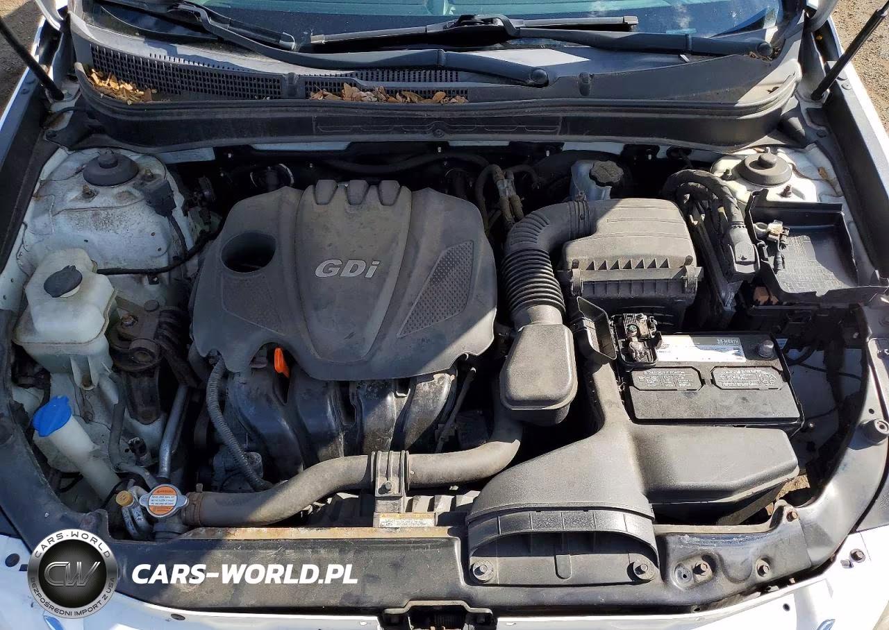 2011 Hyundai Sonata Gls VIN:5NPEB4AC1BH159499 - 11