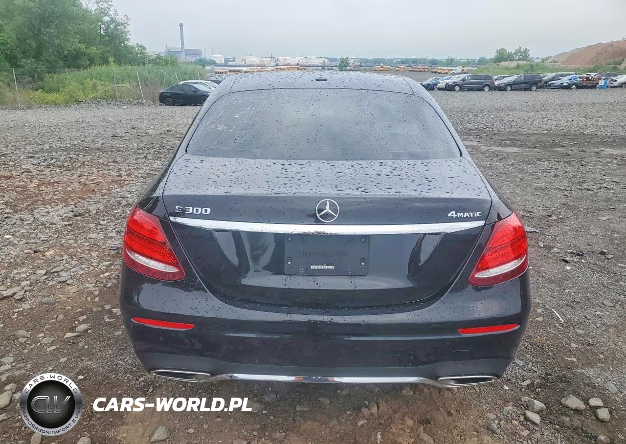 2019 Mercedes-Benz E 300 4Matic VIN:WDDZF4KB0KA617395 - 6