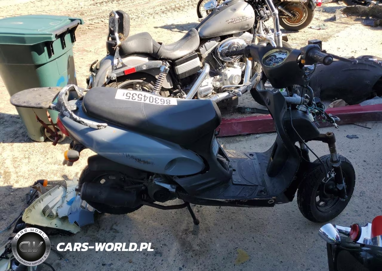 2010 Other Motorcycle Scooter – zdjęcie 1 z 10