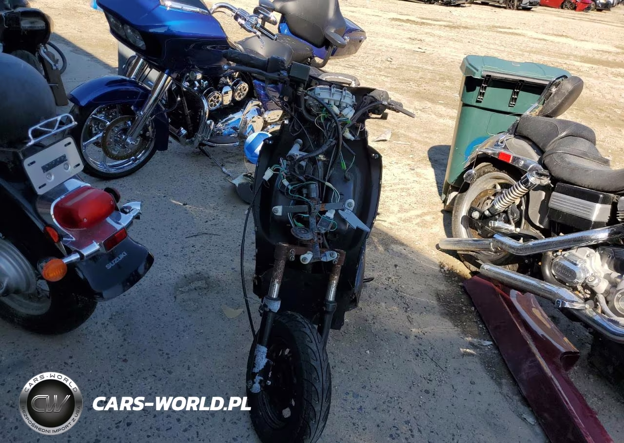2010 Other Motorcycle Scooter VIN:L9NTEACT4B1004352 - 2