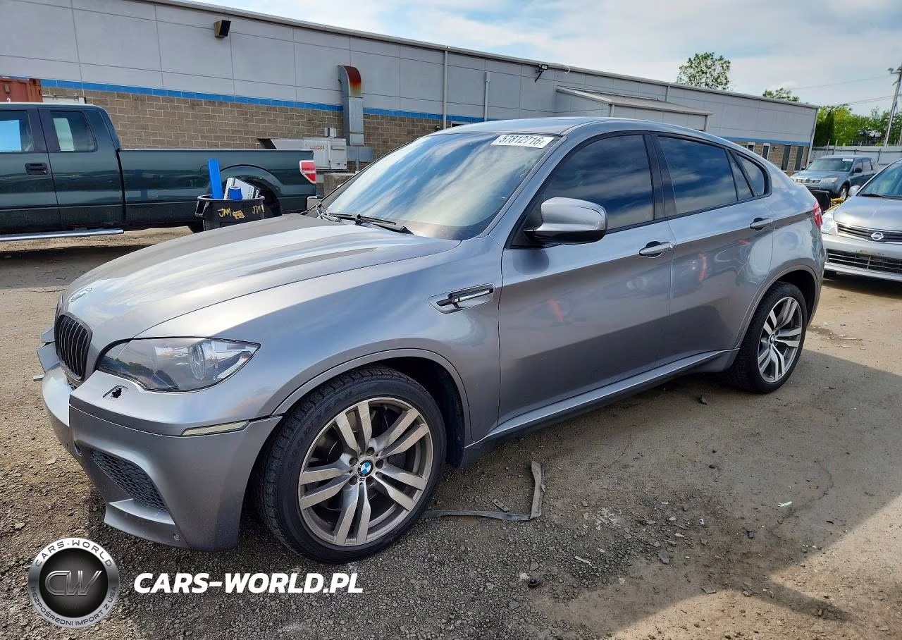 2010 BMW X6 M VIN:5YMGZ0C53ALK13642 - 1