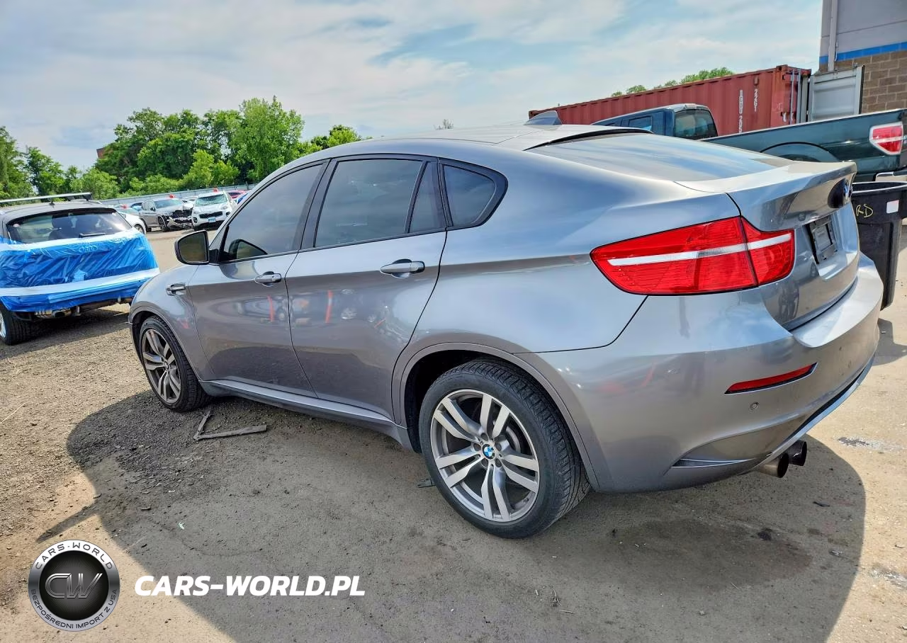2010 BMW X6 M VIN:5YMGZ0C53ALK13642 - 2