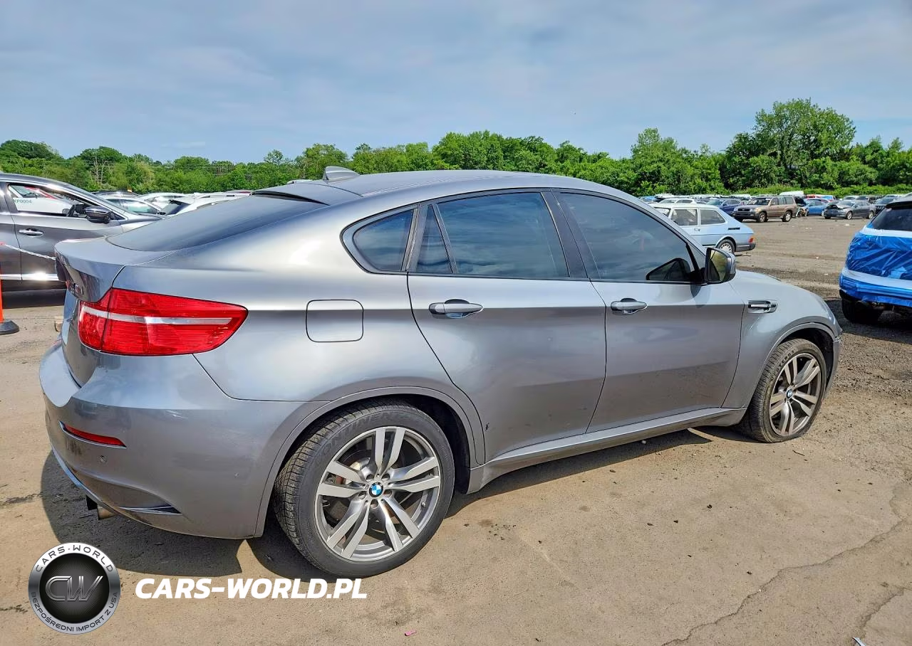 2010 BMW X6 M VIN:5YMGZ0C53ALK13642 - 3