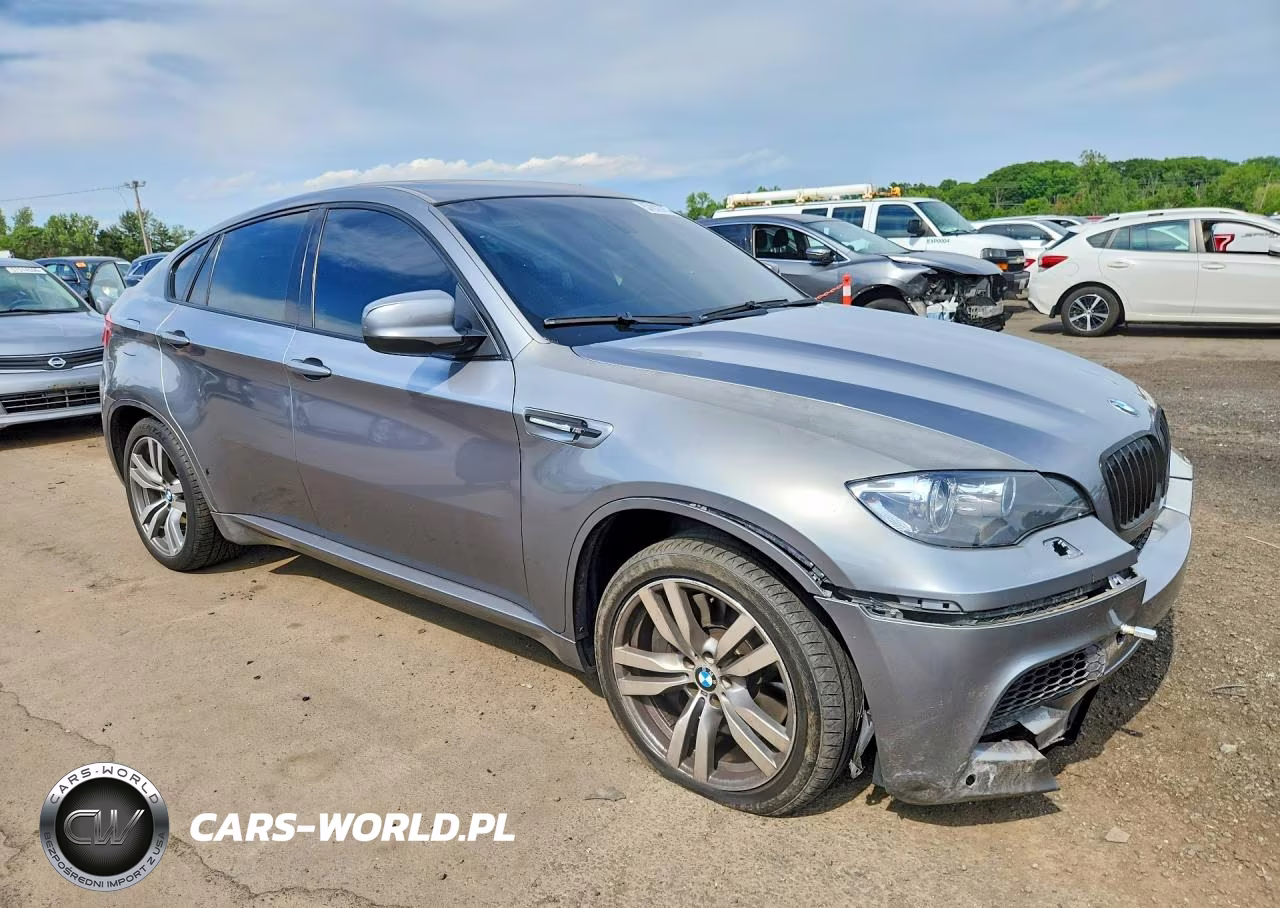 2010 BMW X6 M VIN:5YMGZ0C53ALK13642 - 4