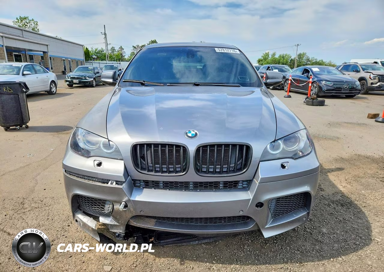 2010 BMW X6 M VIN:5YMGZ0C53ALK13642 - 5