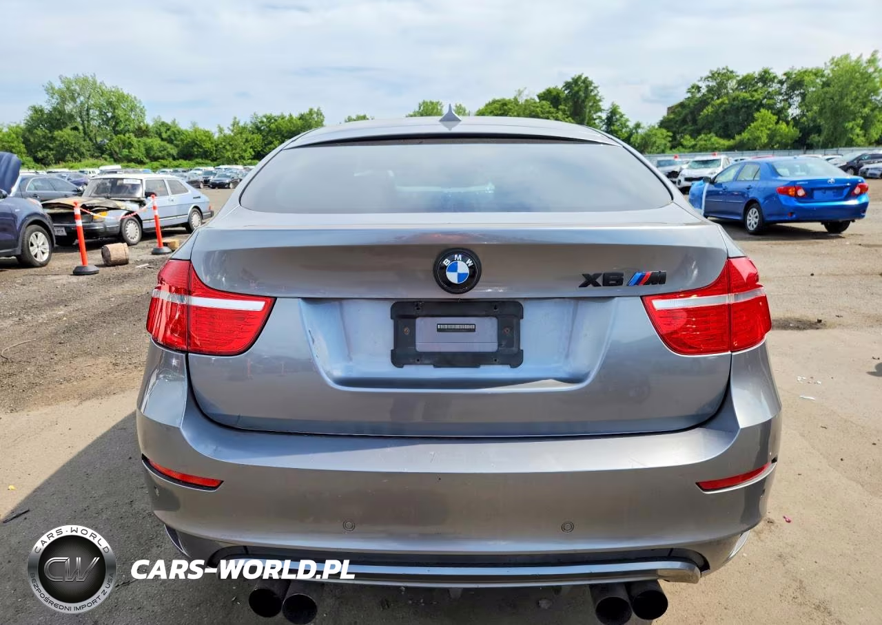 2010 BMW X6 M VIN:5YMGZ0C53ALK13642 - 6