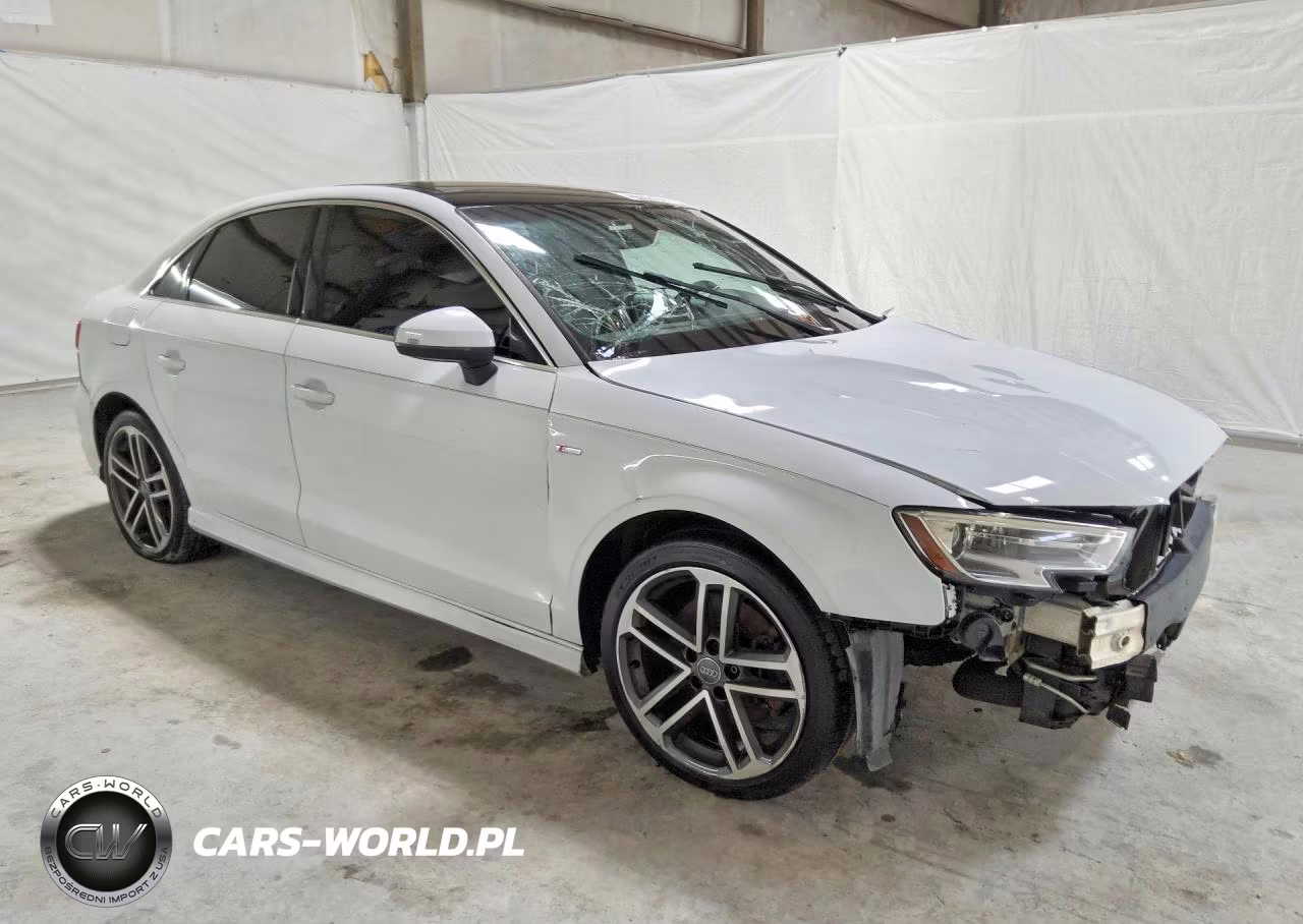 2017 Audi A3 Premium Plus VIN:WAUJ8GFF2H1059457 - 4