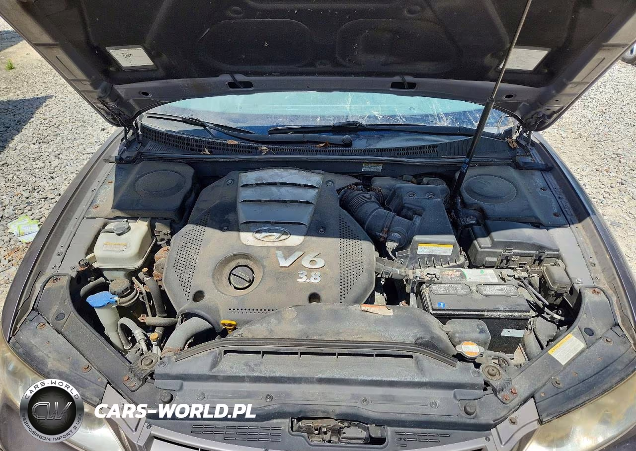 2006 Hyundai Azera Se VIN:KMHFC46FX6A085934 - 11