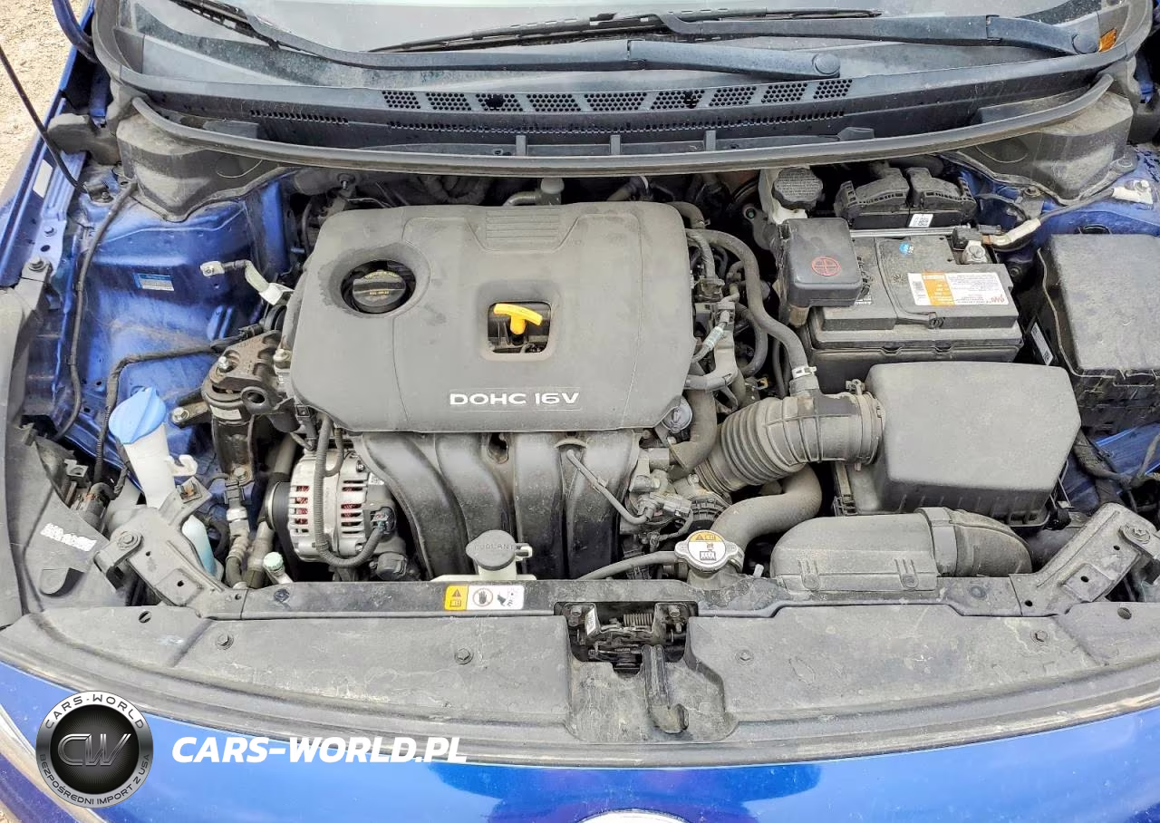 2017 Kia Forte Lx VIN:3KPFK4A7XHE137988 - 11