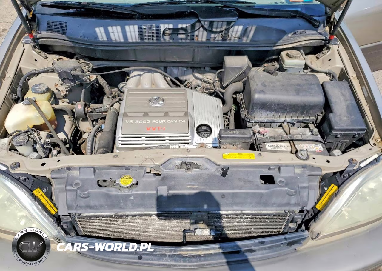 2001 Lexus Rx 300 VIN:JTJHF10U410219097 - 12