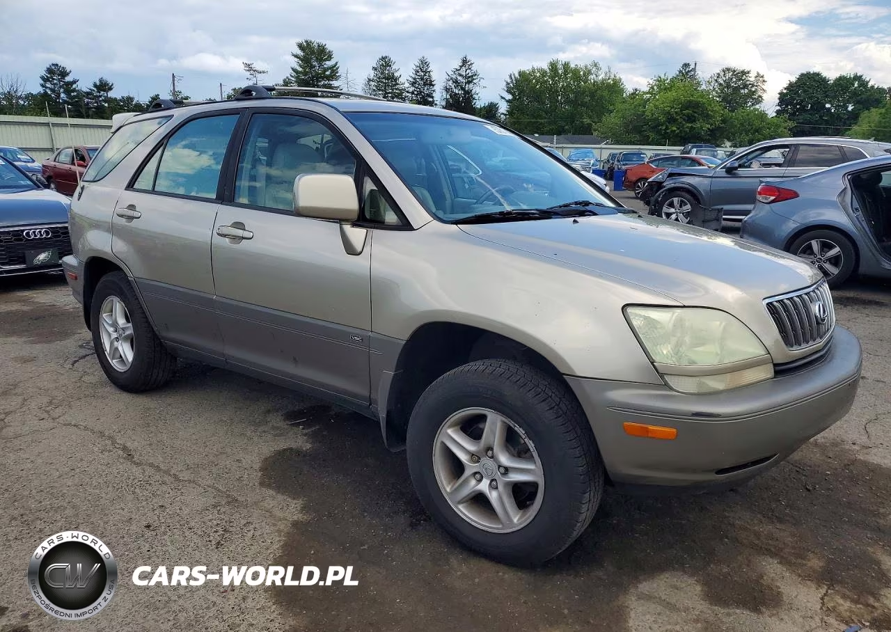 2001 Lexus Rx 300 VIN:JTJHF10U410219097 - 4