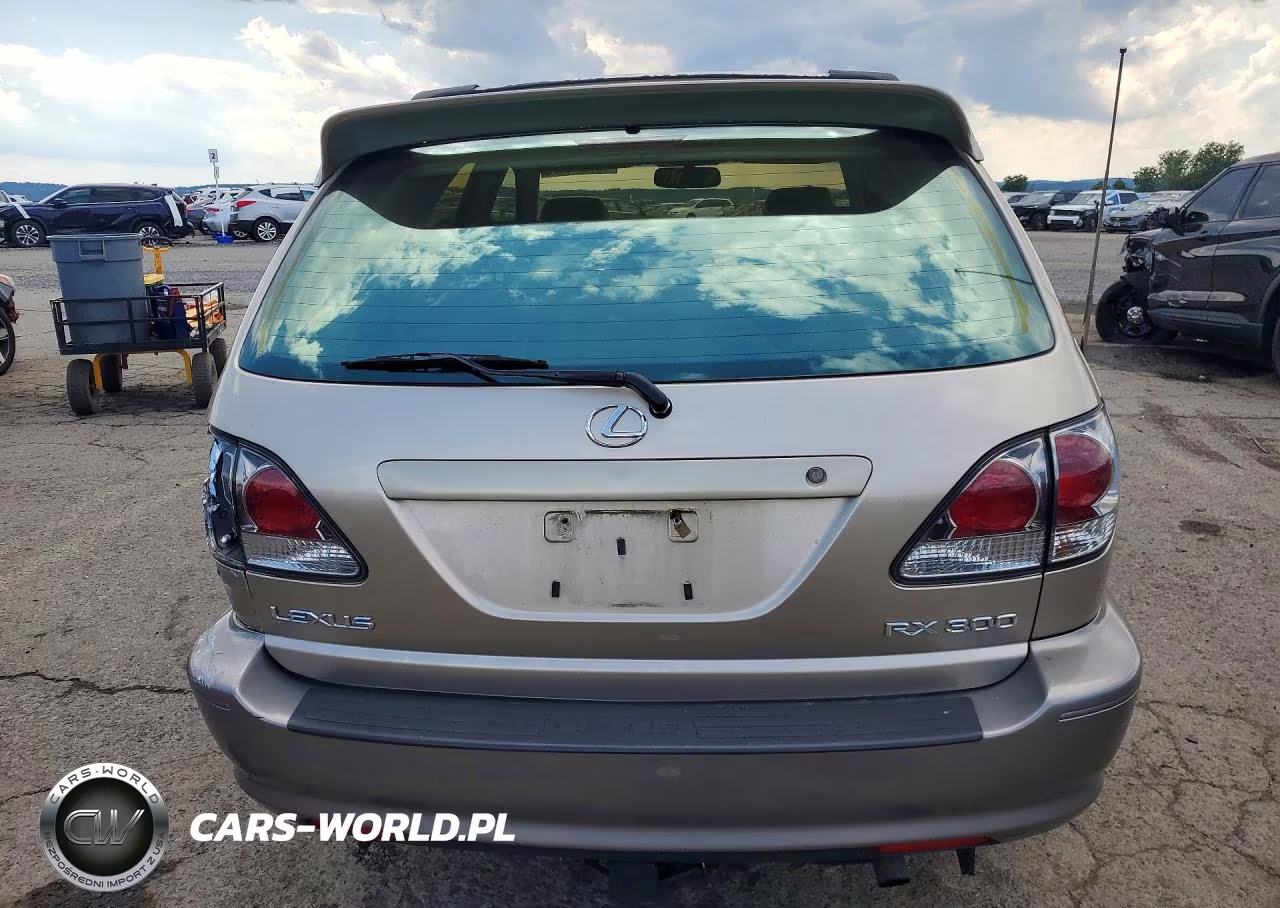 2001 Lexus Rx 300 VIN:JTJHF10U410219097 - 6