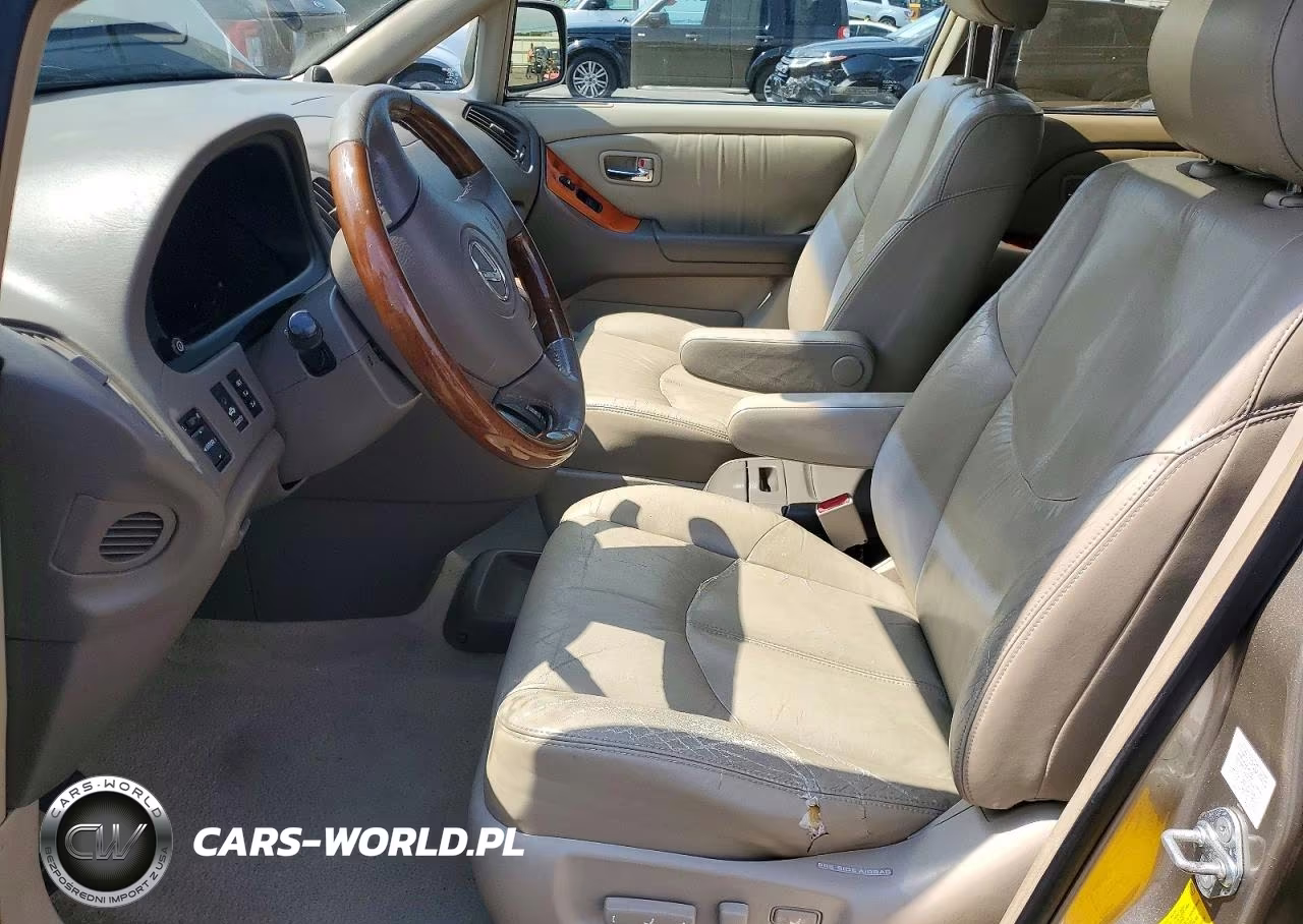 2001 Lexus Rx 300 VIN:JTJHF10U410219097 - 7