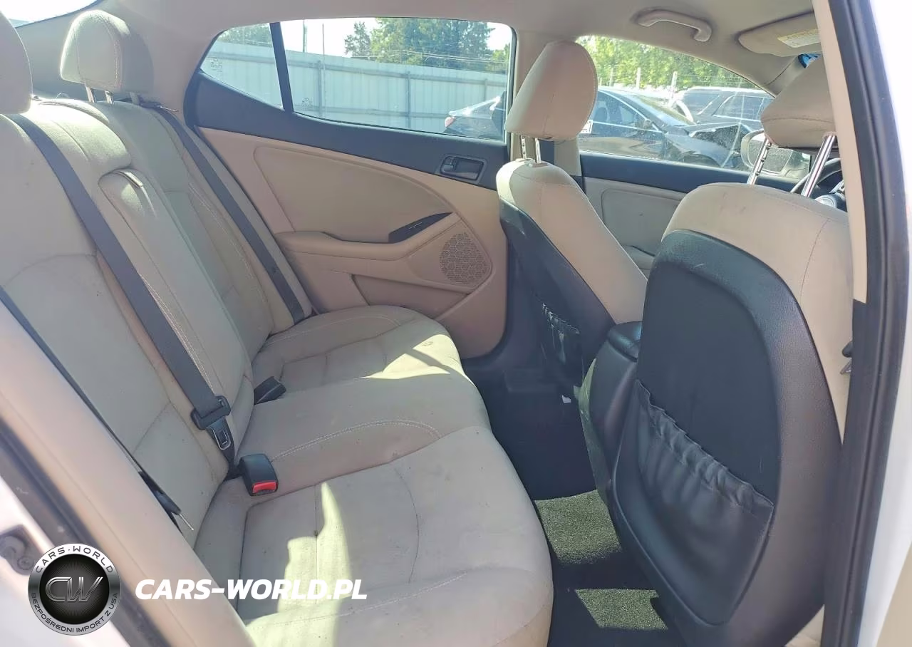 2014 Kia Optima Lx VIN:5XXGM4A73EG319906 - 10