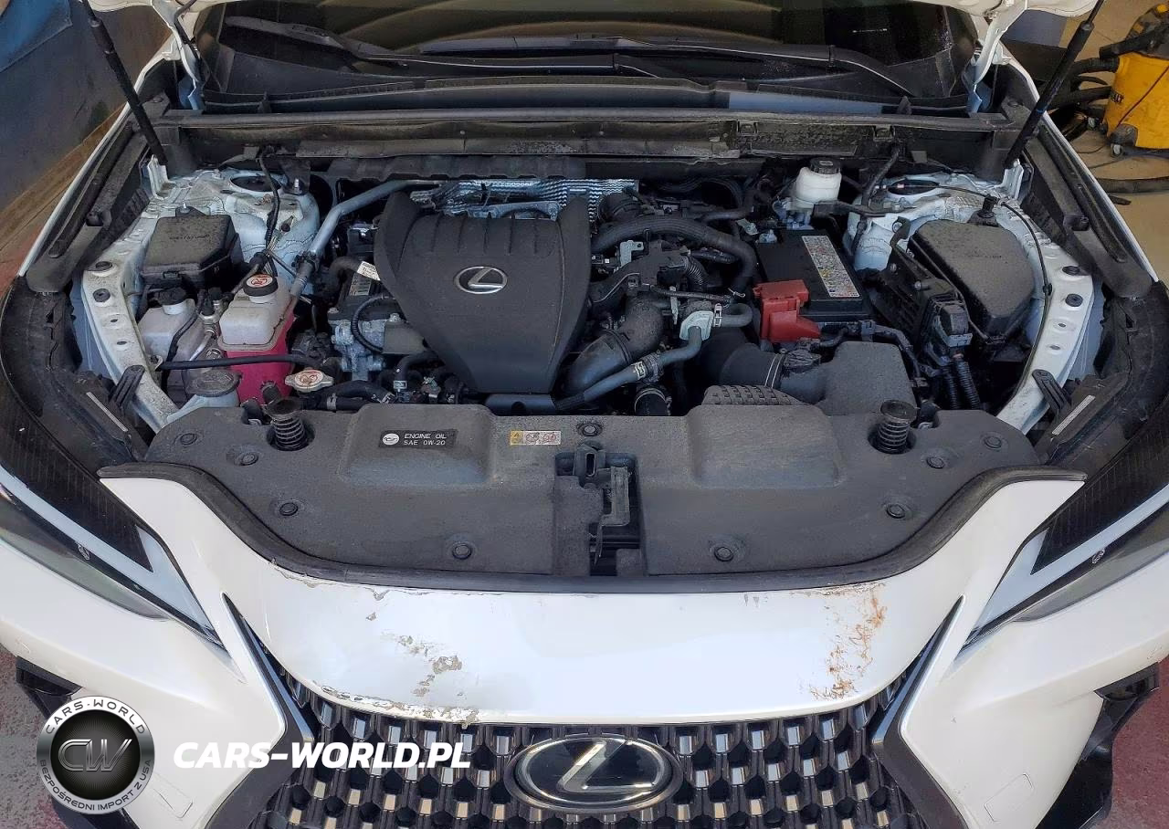 2024 Lexus Nx 350 Premium VIN:JTJGGCEZ6R2011148 - 12