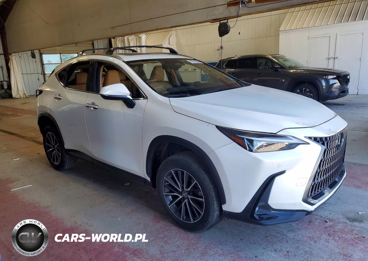 2024 Lexus Nx 350 Premium VIN:JTJGGCEZ6R2011148 - 4