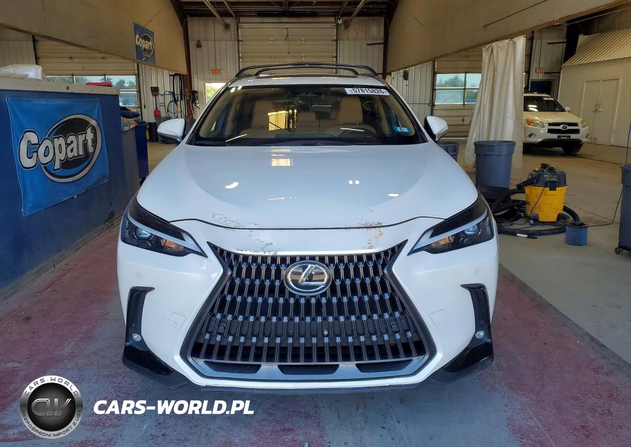 2024 Lexus Nx 350 Premium VIN:JTJGGCEZ6R2011148 - 5