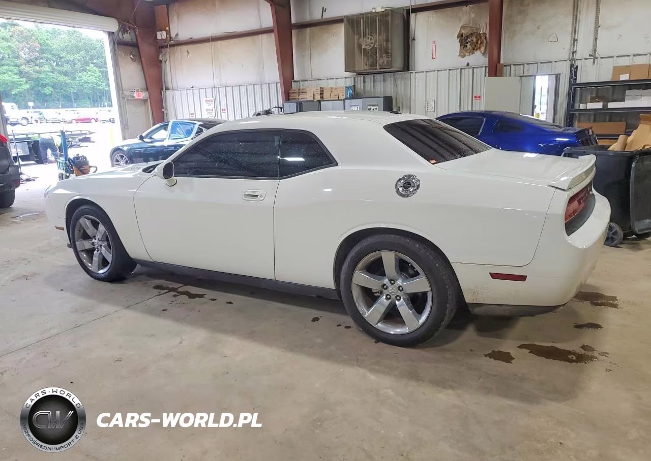 2009 Dodge Challenger R-T VIN:2B3LJ54T29H510680 - 2