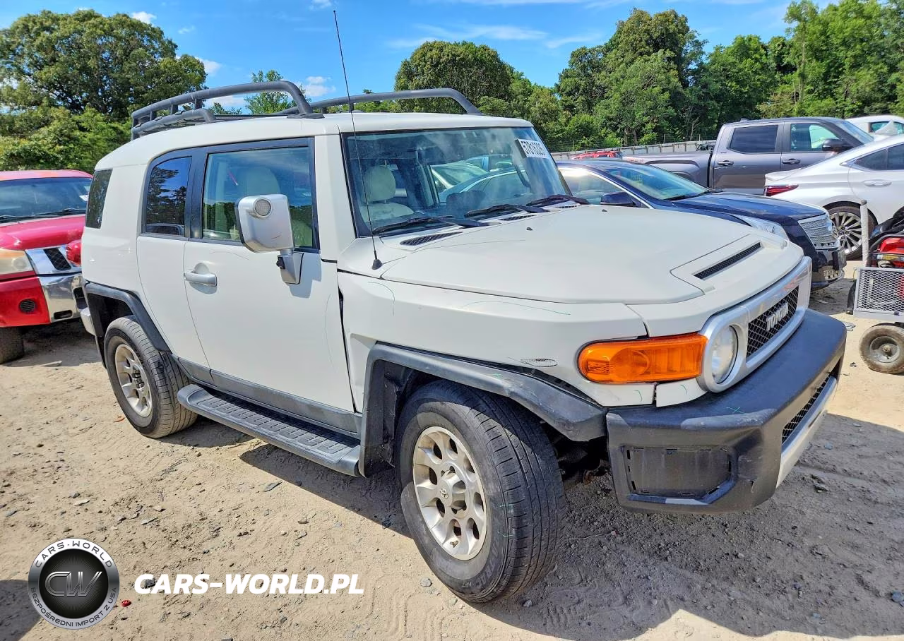 2013 Toyota Fj Cruiser Base VIN:JTEBU4BF3DK163303 - 4