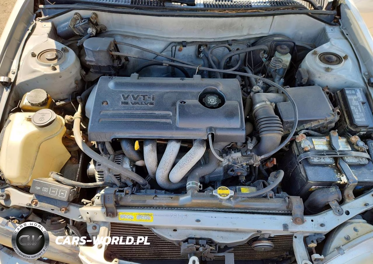 2000 Toyota Corolla Ve VIN:2T1BR18E9YC345078 - 11