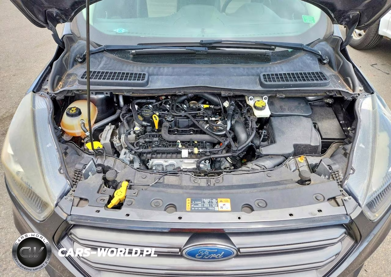 2019 Ford Escape Sel VIN:1FMCU0HD9KUA55286 - 12