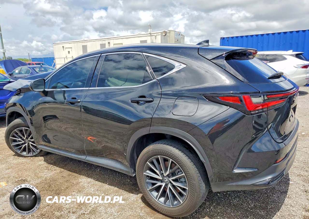2024 Lexus Nx 250 Base VIN:2T2ADCAZ2RC010874 - 2