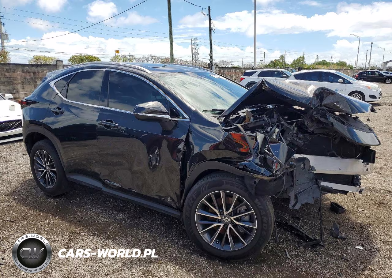 2024 Lexus Nx 250 Base VIN:2T2ADCAZ2RC010874 - 4