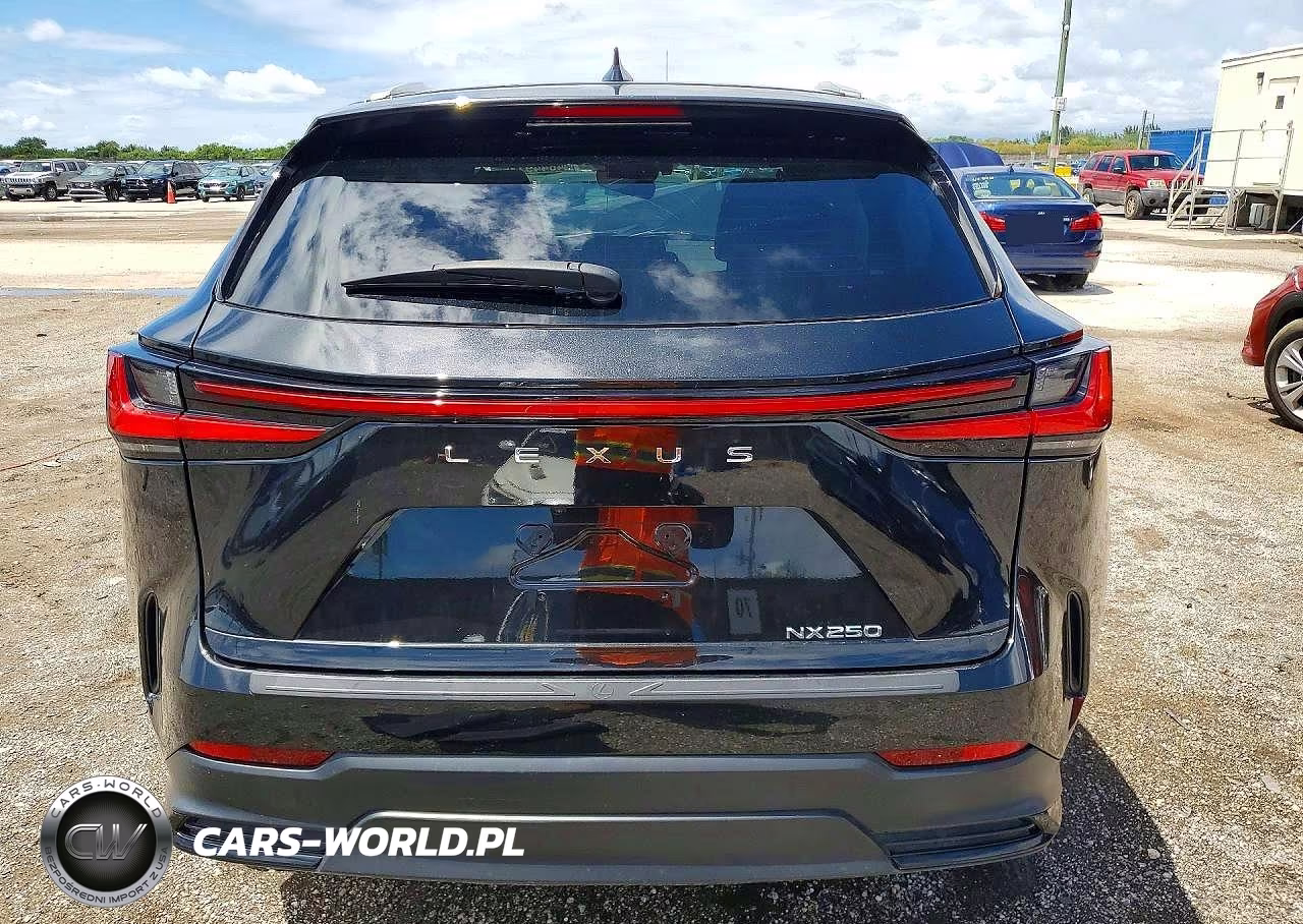 2024 Lexus Nx 250 Base VIN:2T2ADCAZ2RC010874 - 6