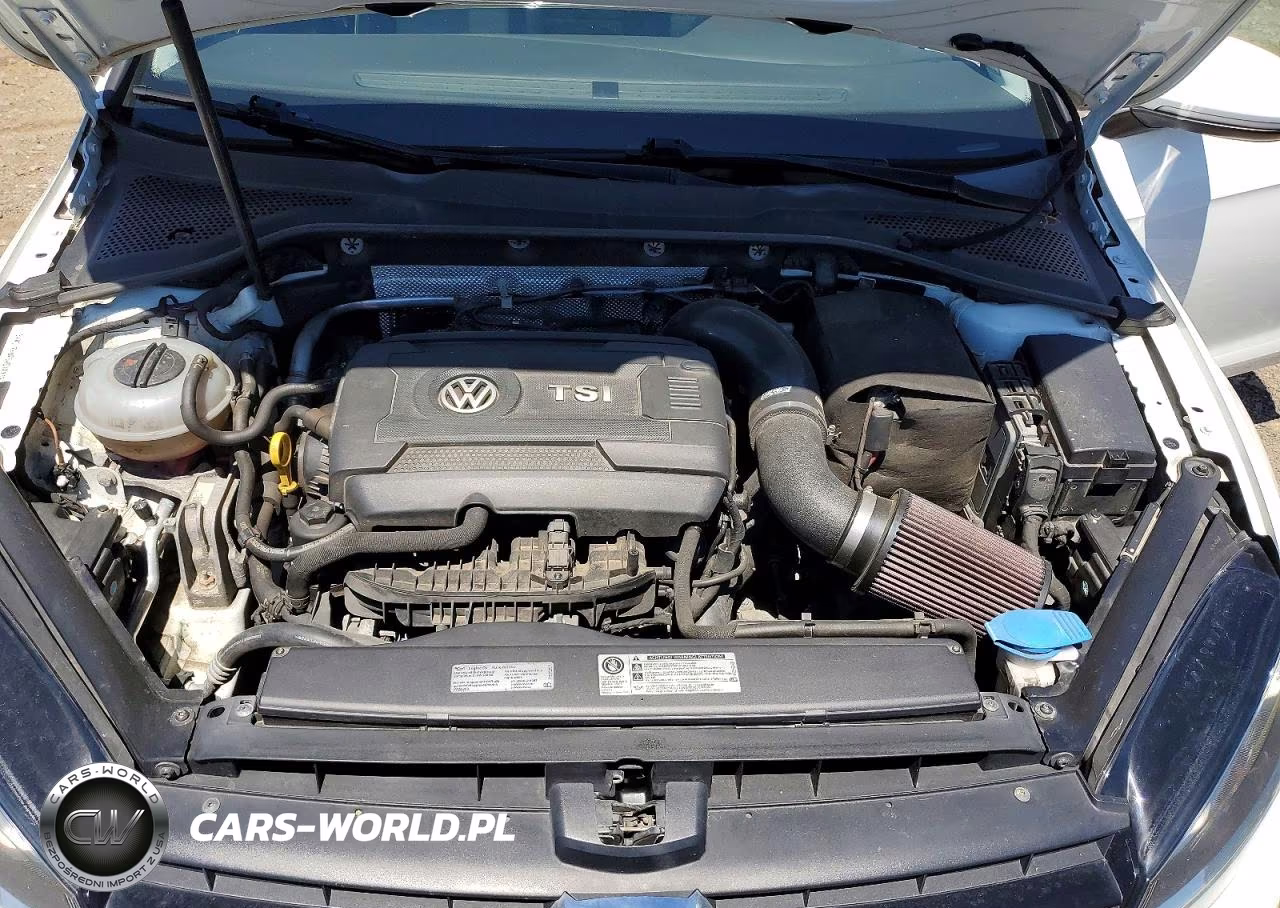 2016 Volkswagen Golf Sportwagen S VIN:3VWC17AU7GM517112 - 11