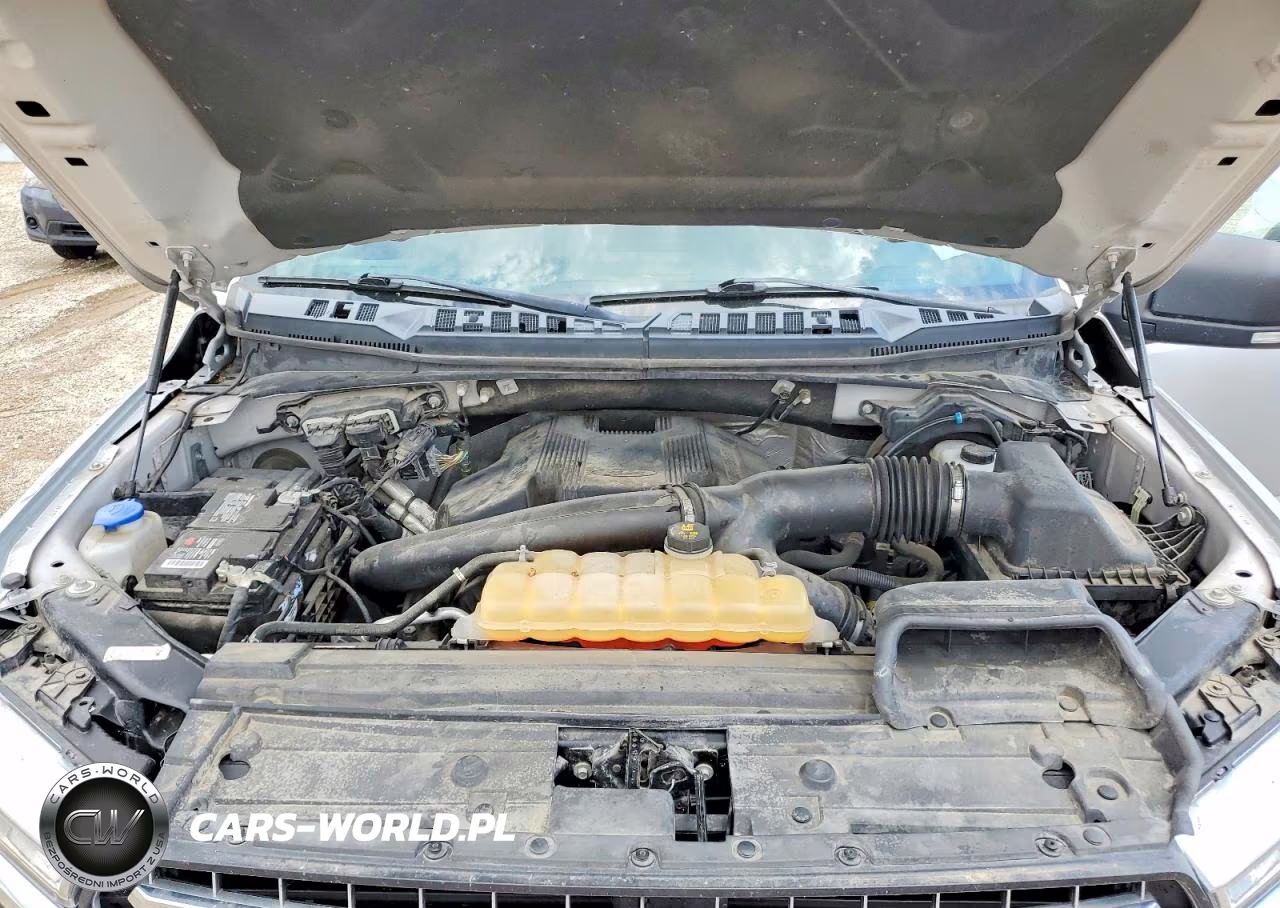 2019 Ford F150 VIN:1FTEW1E46KKC34558 - 11