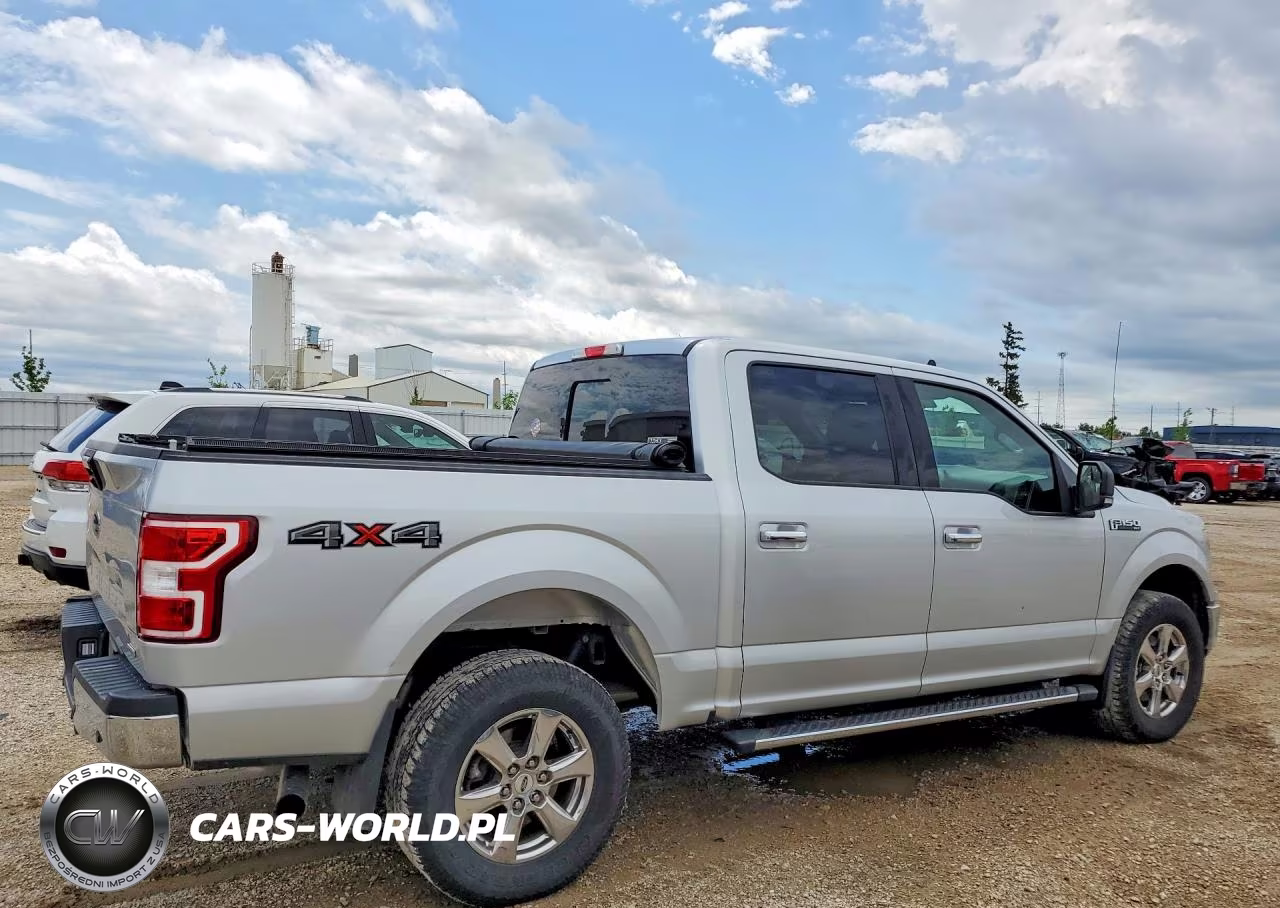 2019 Ford F150 VIN:1FTEW1E46KKC34558 - 3