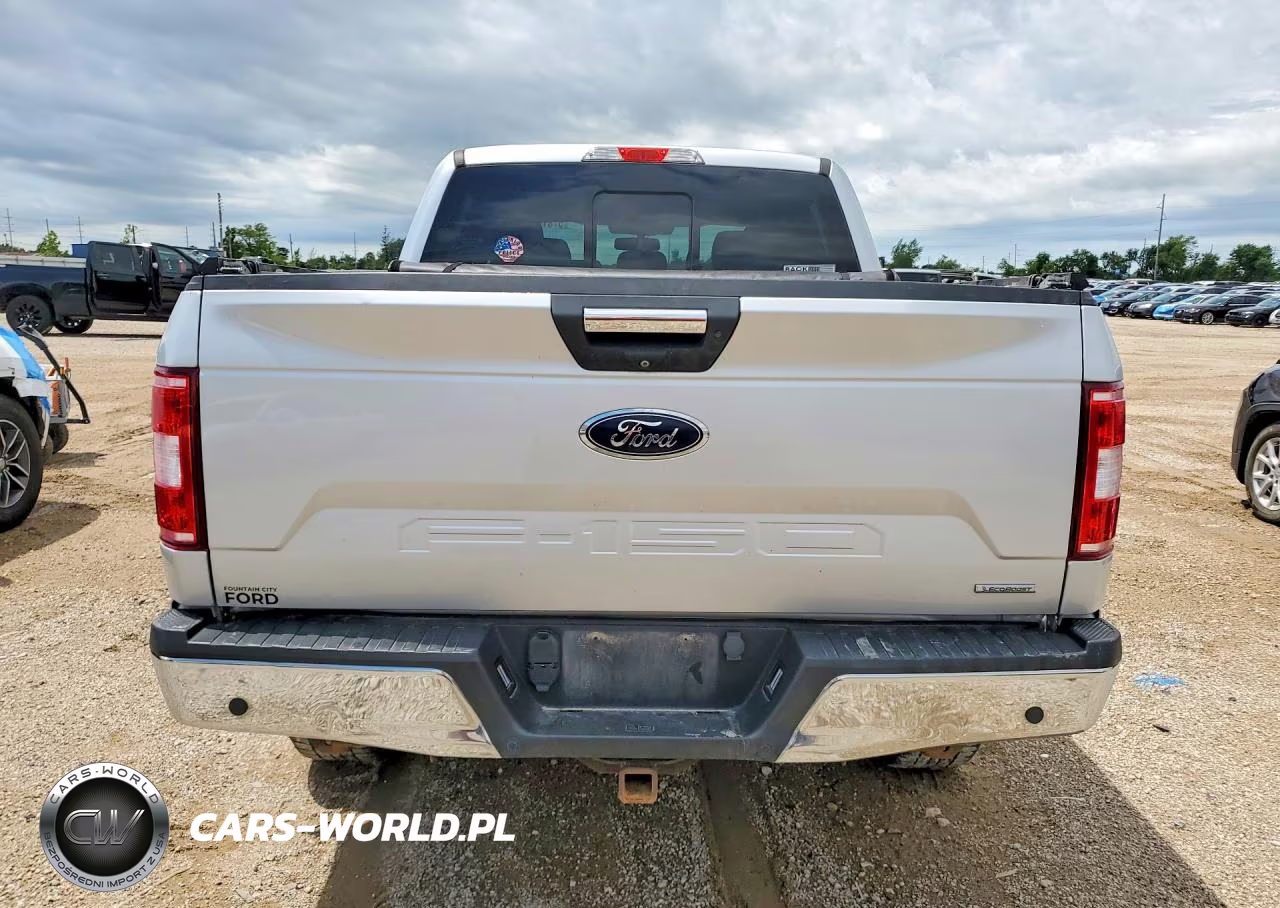 2019 Ford F150 VIN:1FTEW1E46KKC34558 - 6