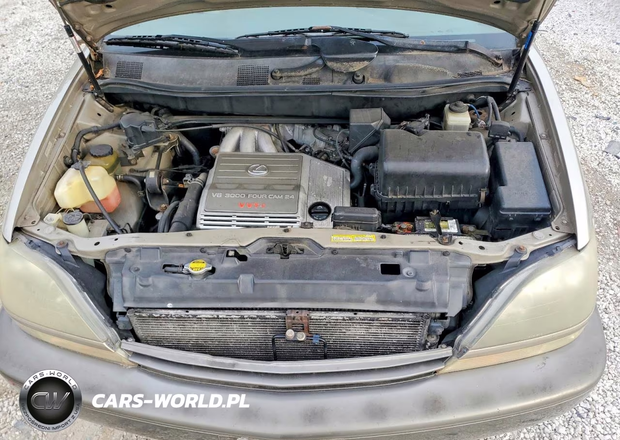 2000 Lexus Rx 300 VIN:JT6HF10U1Y0145058 - 12