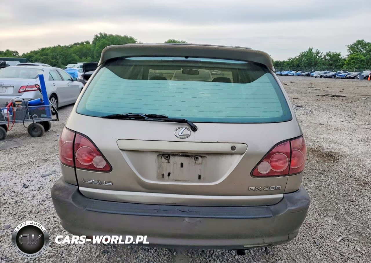 2000 Lexus Rx 300 VIN:JT6HF10U1Y0145058 - 6