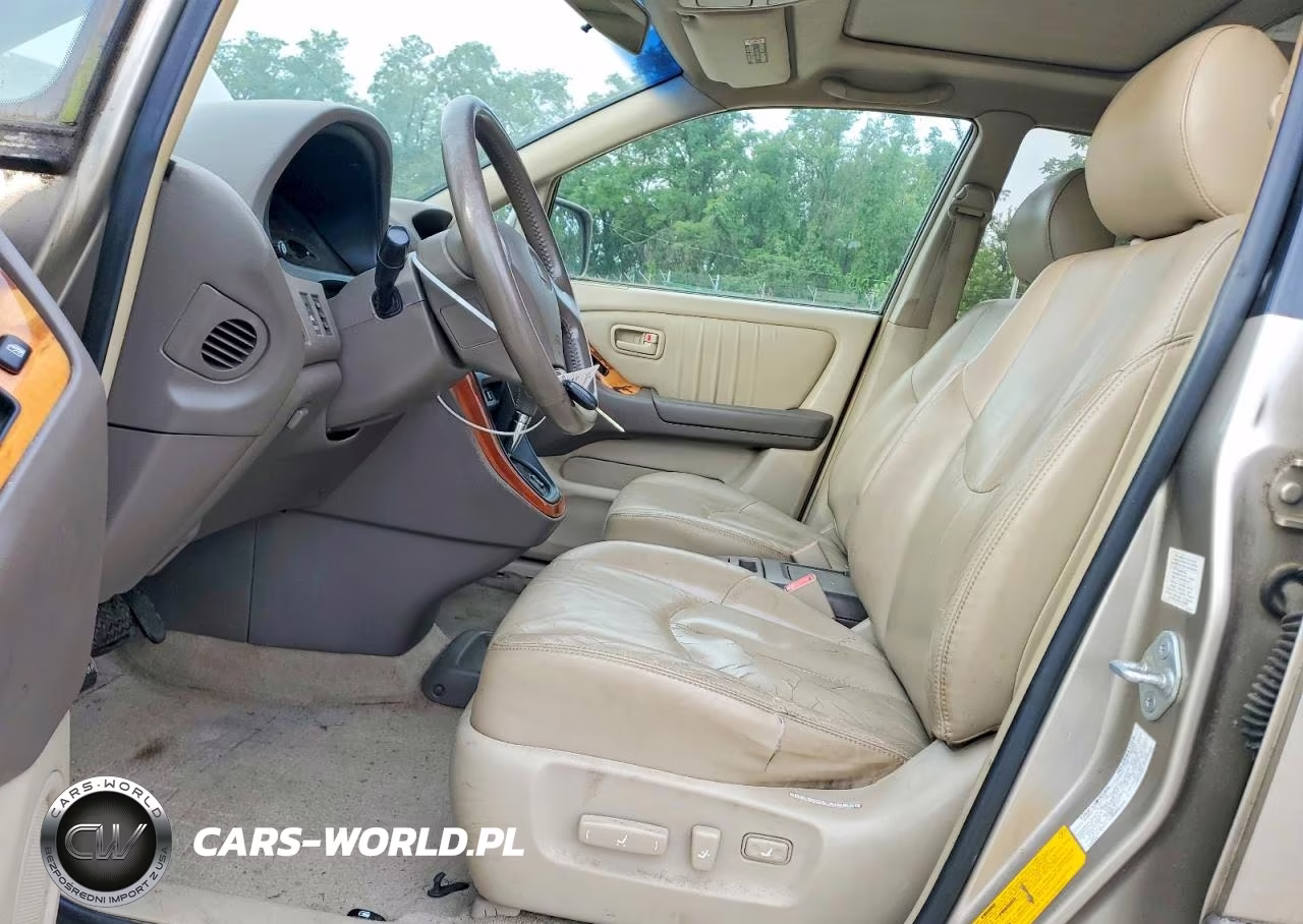 2000 Lexus Rx 300 VIN:JT6HF10U1Y0145058 - 7