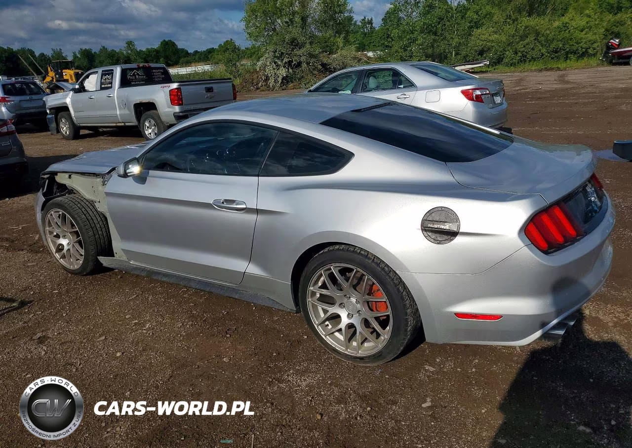 2017 Ford Mustang VIN:1FA6P8AM4H5343582 - 2