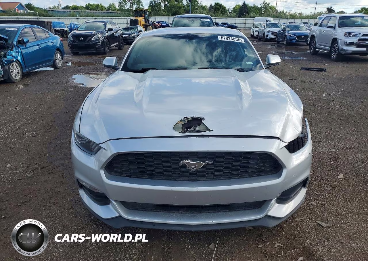2017 Ford Mustang VIN:1FA6P8AM4H5343582 - 5