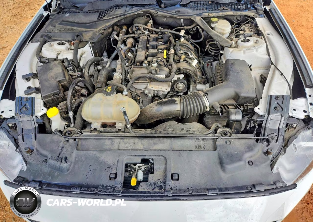 2021 Ford Mustang VIN:1FATP8UH8M5100868 - 11