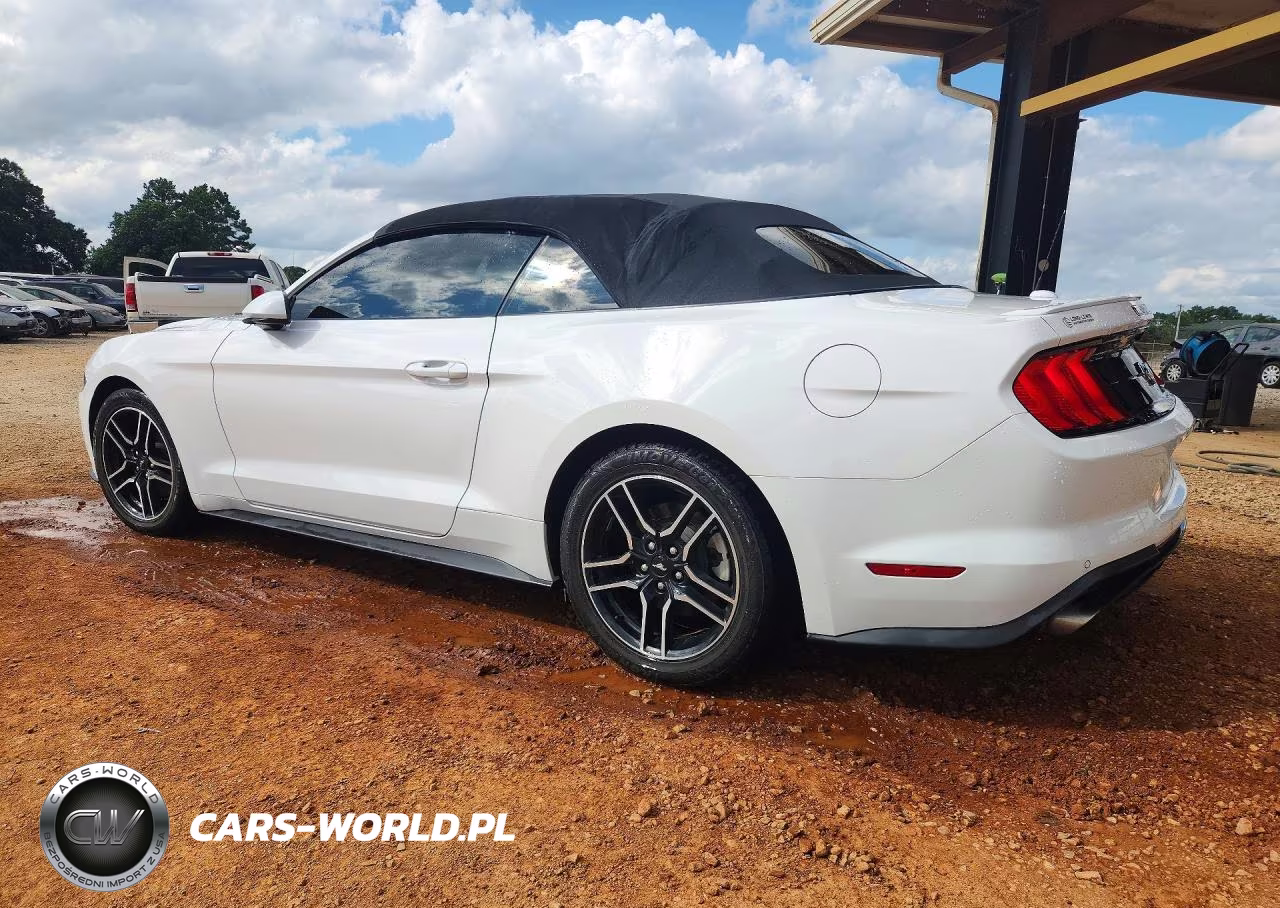 2021 Ford Mustang VIN:1FATP8UH8M5100868 - 2