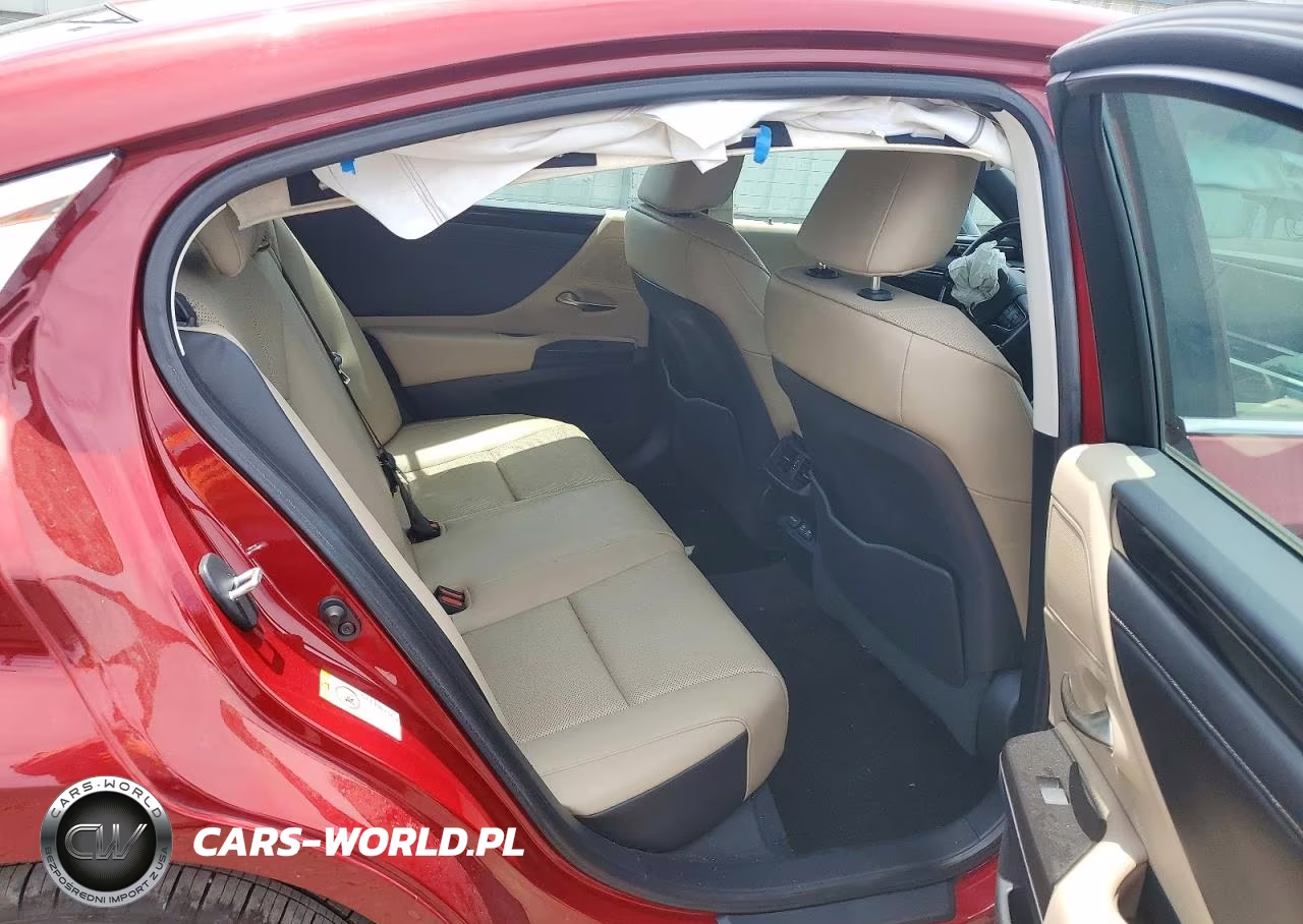 2019 Lexus Es 350 VIN:58ABZ1B18KU015727 - 10