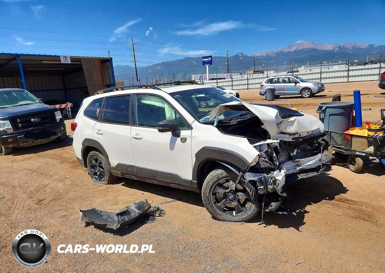 2022 Subaru Forester Wilderness VIN:JF2SKAMCXNH426673 - 4