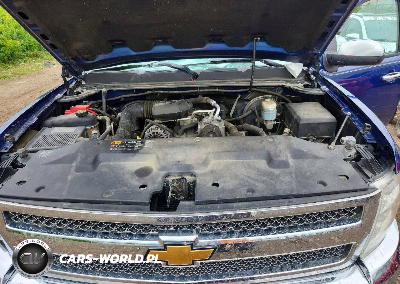 2013 Chevrolet Silverado C1500 VIN:1GCNCPEX3DZ111719 - 11