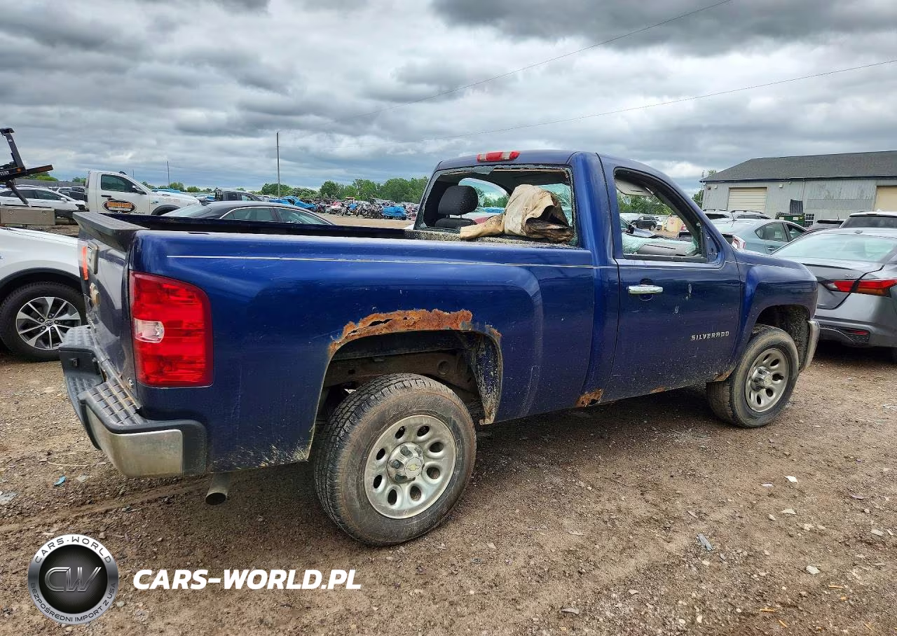 2013 Chevrolet Silverado C1500 VIN:1GCNCPEX3DZ111719 - 3